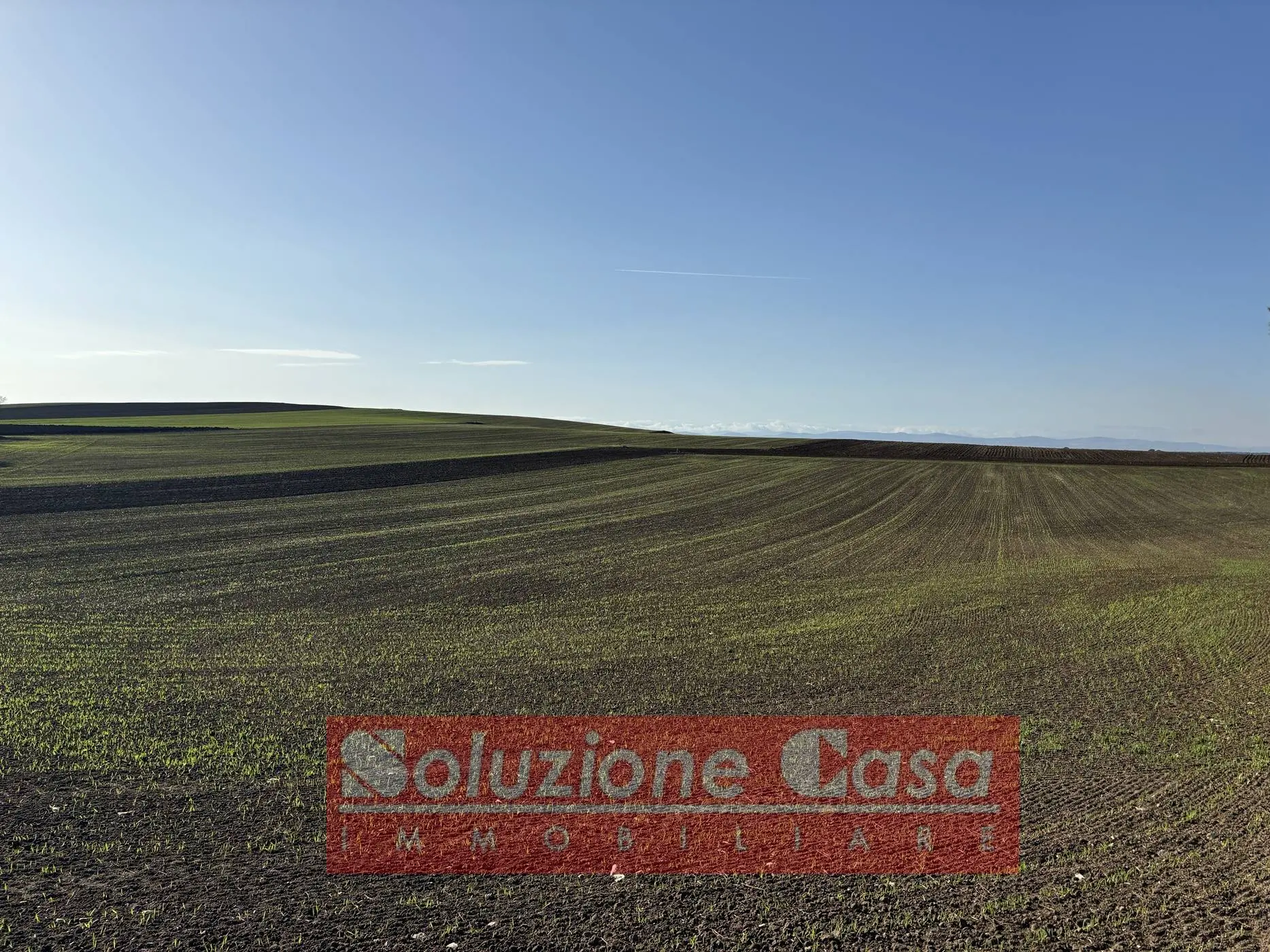 Immagine per Villa in vendita a Minervino Murge Contrada Sardoni
