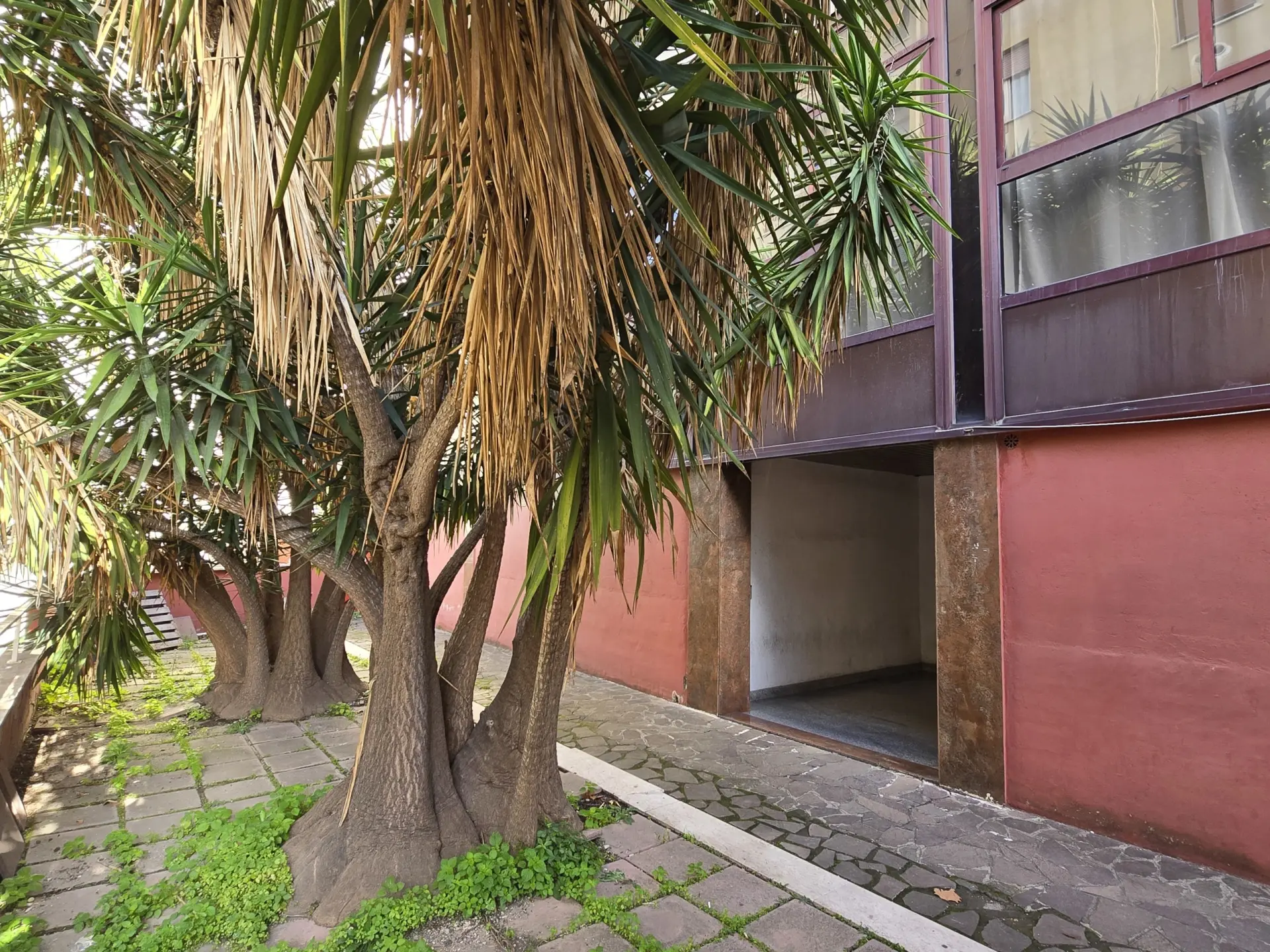 Immagine per Area verde in vendita a Roma via Degli Abeti 29