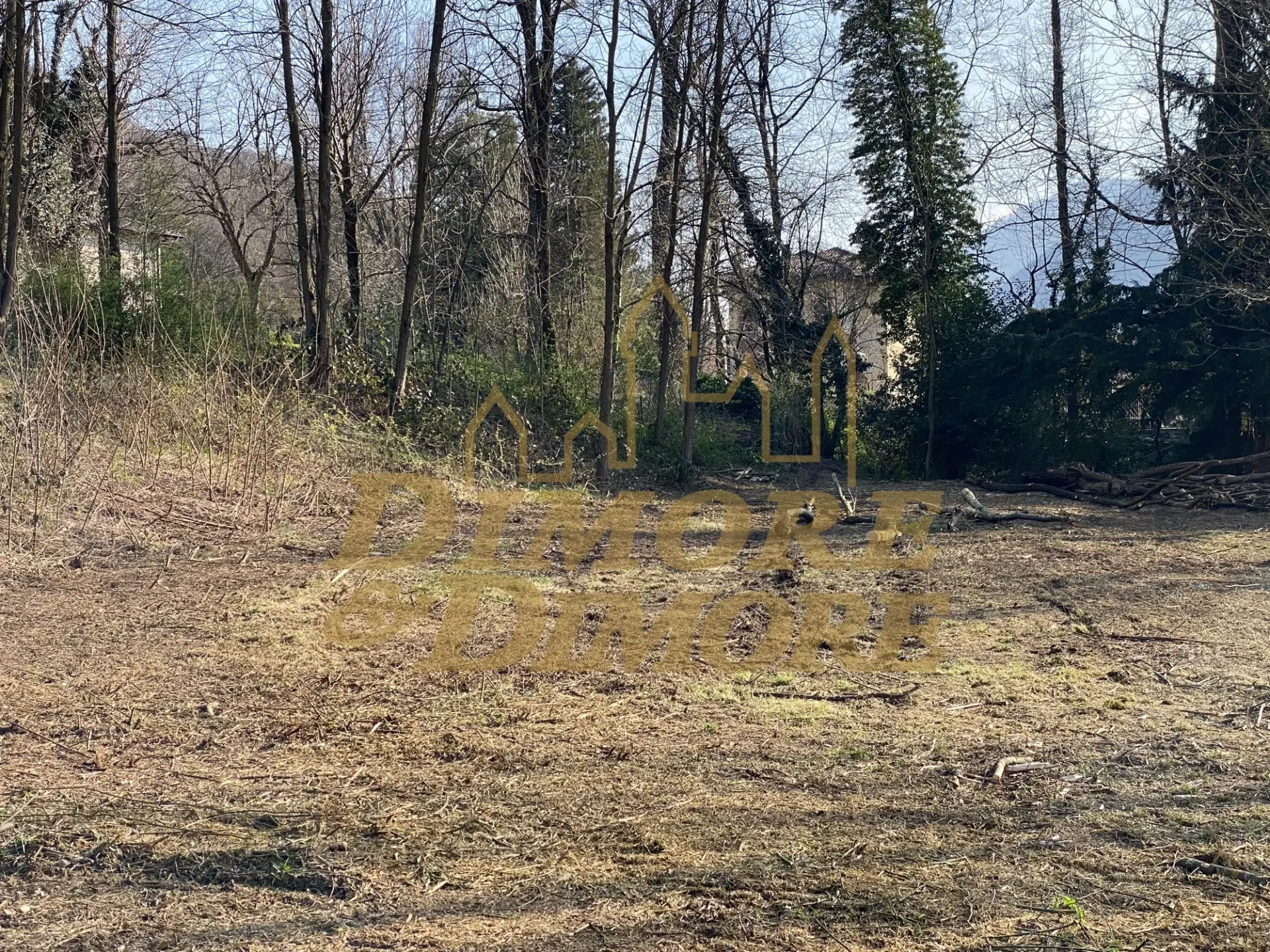 Immagine per Terreno edificabile in vendita a Valganna 2