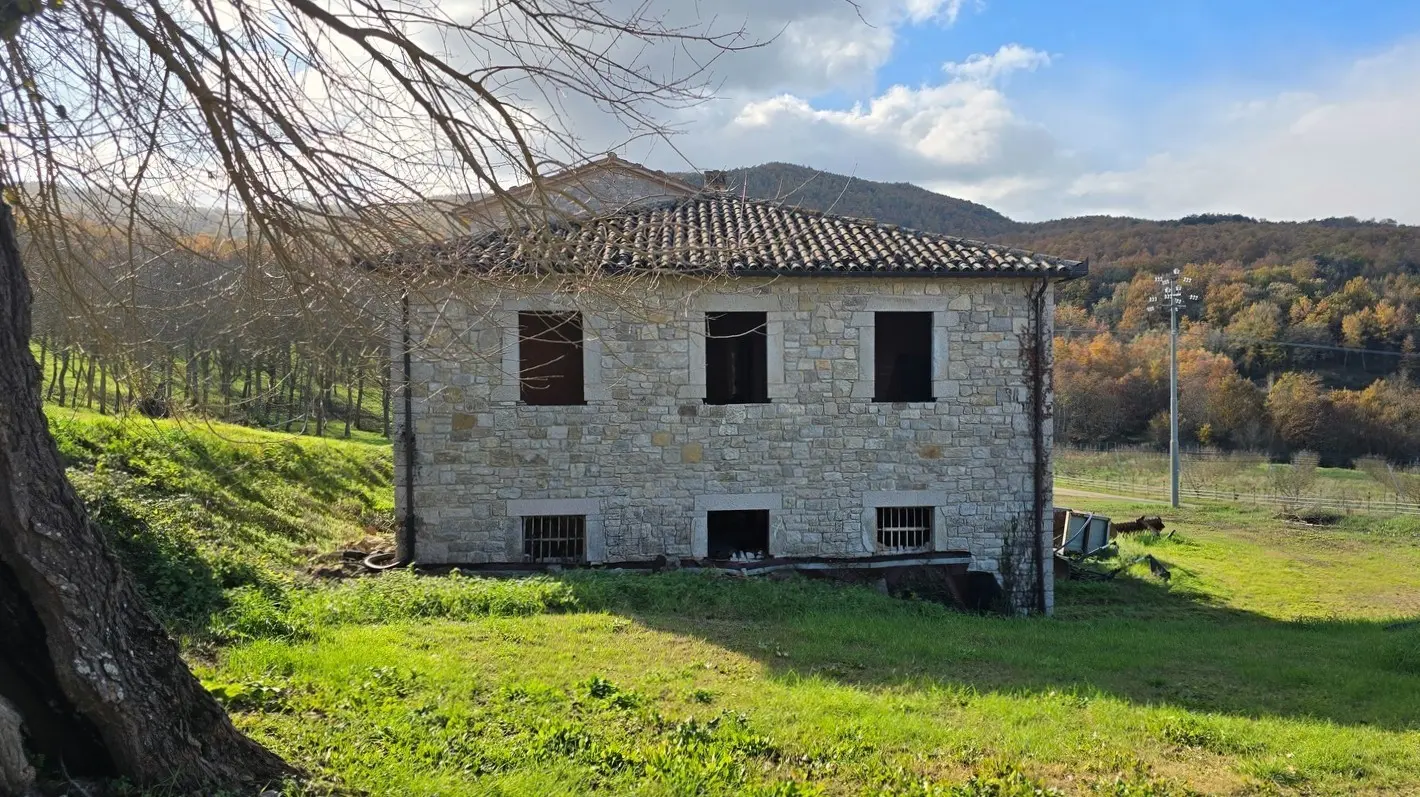 Immagine per Azienda agricola in vendita a Baschi via Vocabolo Capanni snc