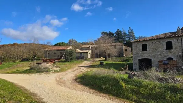 Azienda Agricola via Vocabolo Capanni Snc, Baschi