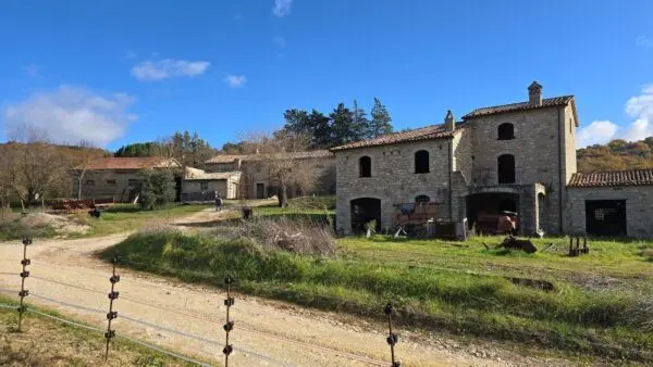 Azienda Agricola via Vocabolo Capanni Snc, Baschi