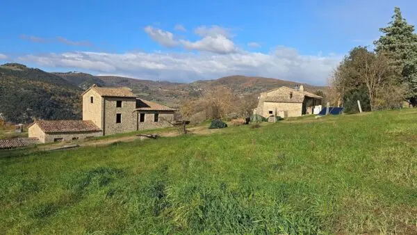 Azienda Agricola via Vocabolo Capanni Snc, Baschi