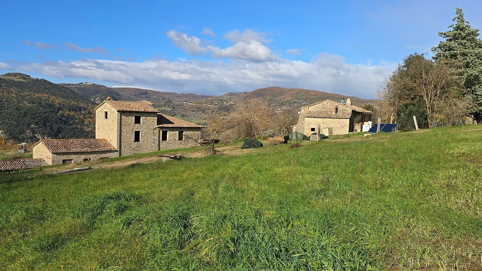 Immagine per Azienda agricola in vendita a Baschi via Vocabolo Capanni snc