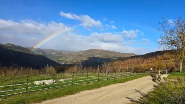 Azienda Agricola via Vocabolo Capanni Snc, Baschi