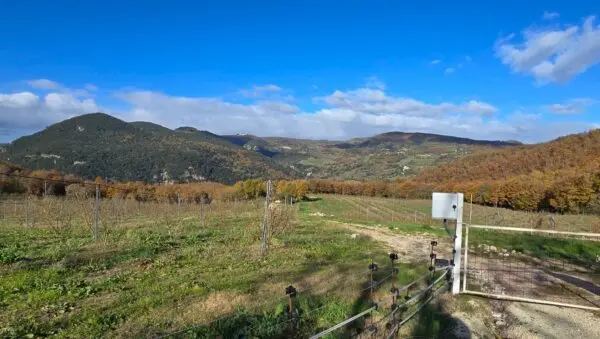 Azienda Agricola via Vocabolo Capanni Snc, Baschi