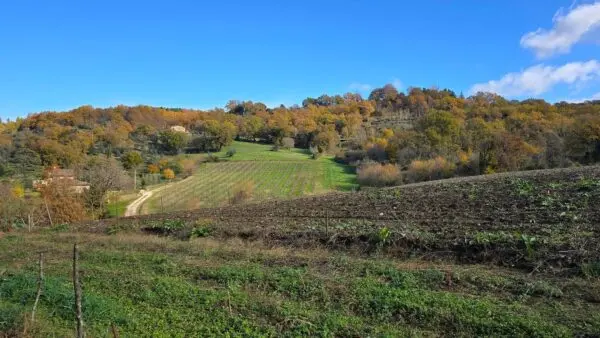 Azienda Agricola via Vocabolo Capanni Snc, Baschi