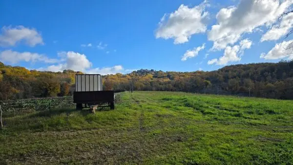 Azienda Agricola via Vocabolo Capanni Snc, Baschi
