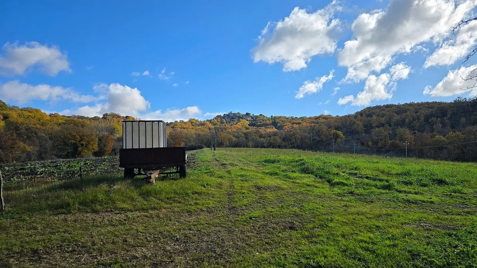 Immagine per Azienda agricola in vendita a Baschi via Vocabolo Capanni snc