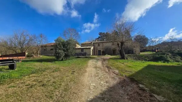 Azienda Agricola via Vocabolo Capanni Snc, Baschi