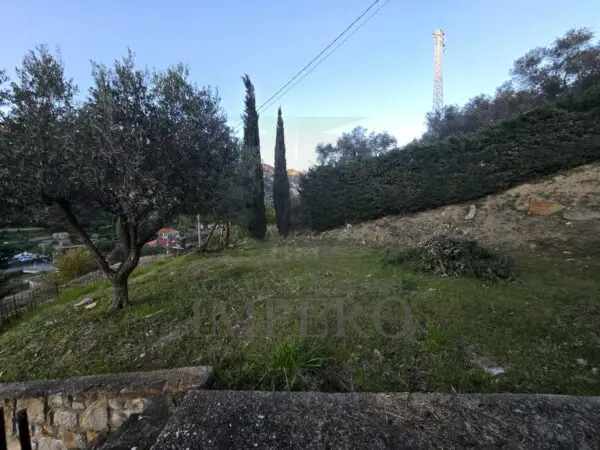Villa Trifamiliare via Sapergo 16, Bordighera