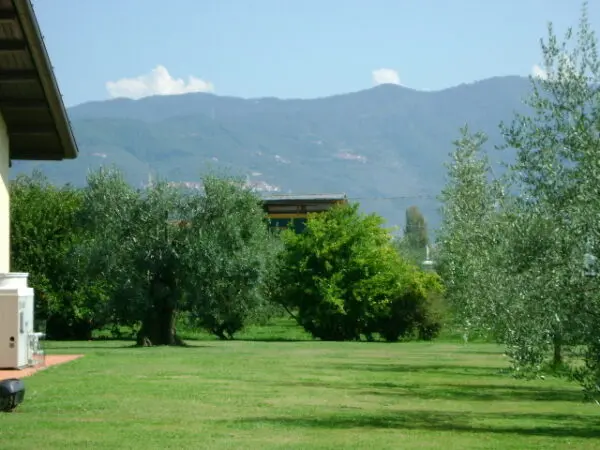 Villa via Margubbio 15, Ameglia