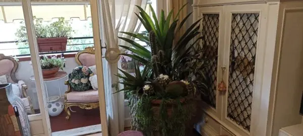 Appartamento via Carlo Fontana 11, Carrara