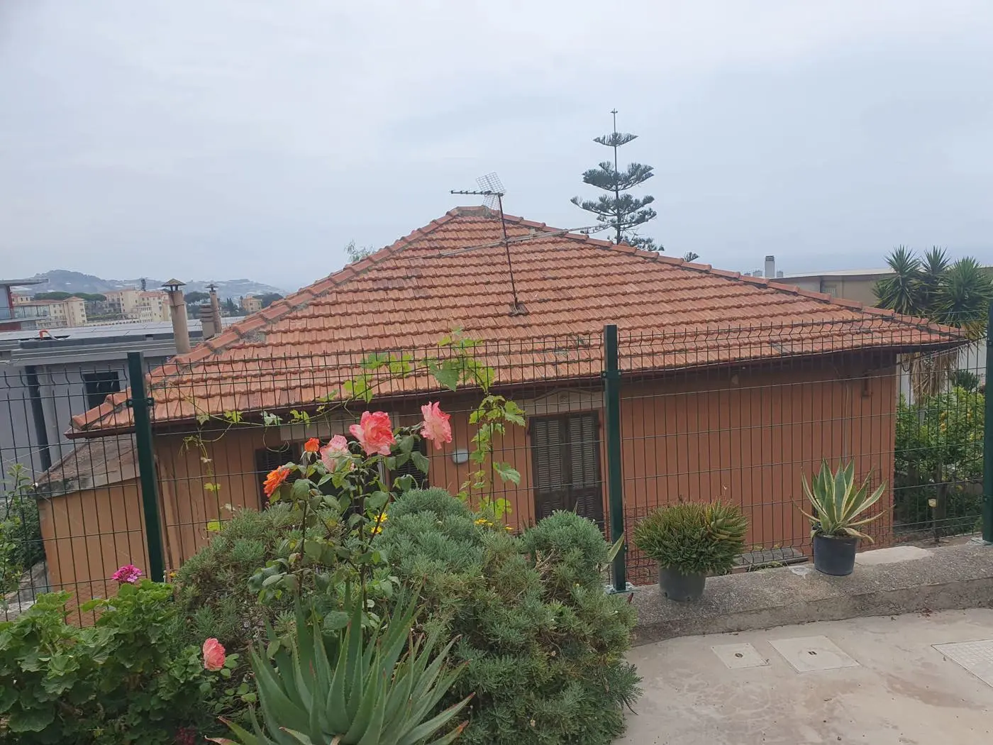 Immagine per Casa Indipendente in vendita a Sanremo via De Amicis 84