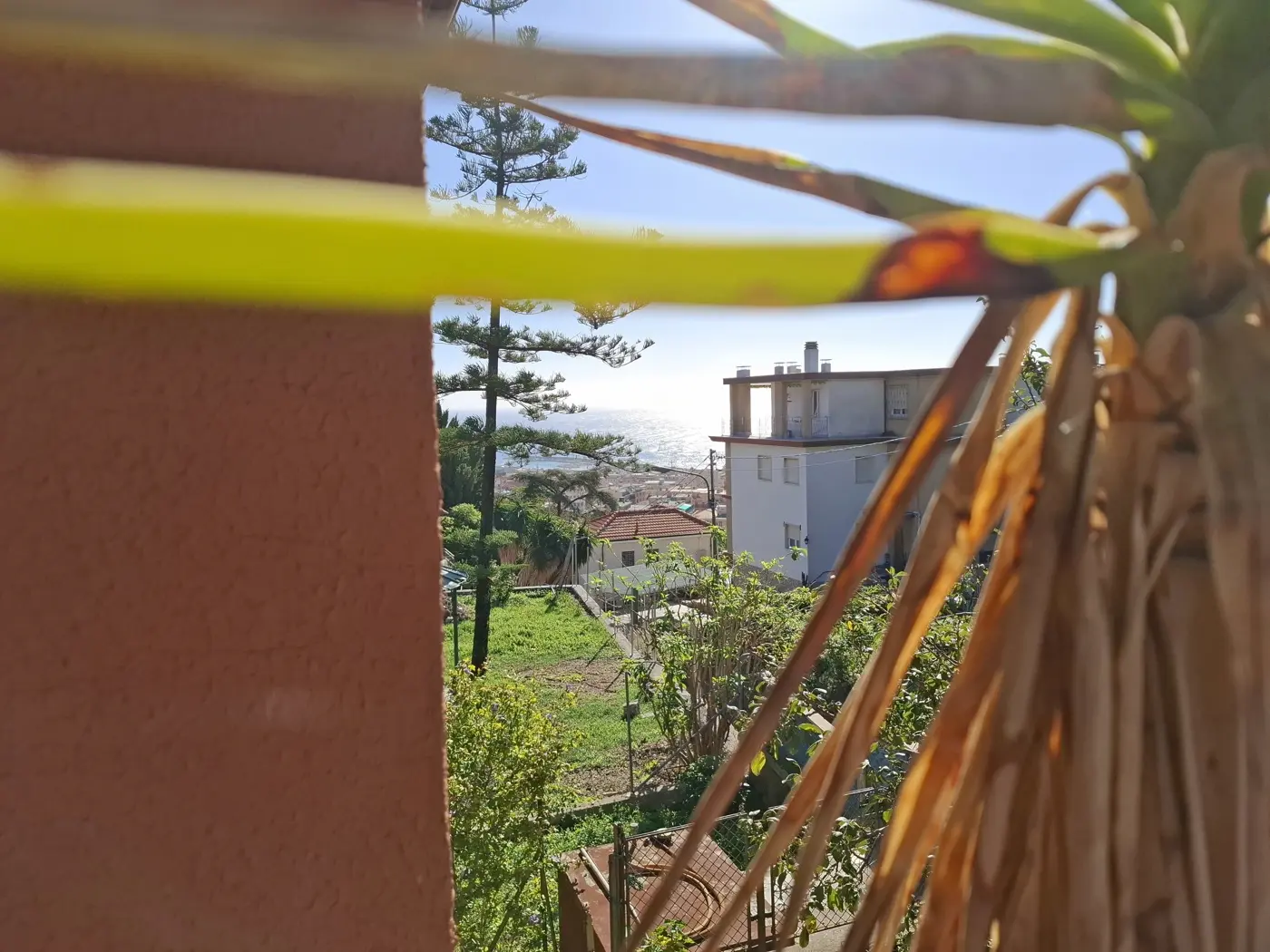 Immagine per Casa Indipendente in vendita a Sanremo via De Amicis 84