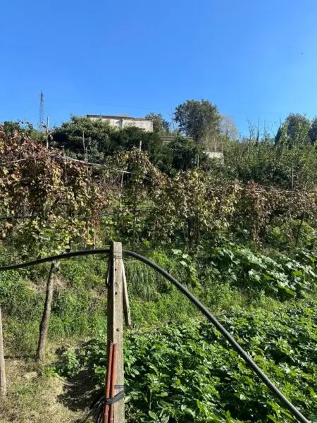 Stabile via Vicinale Cupa Cintia, Fuorigrotta, Napoli