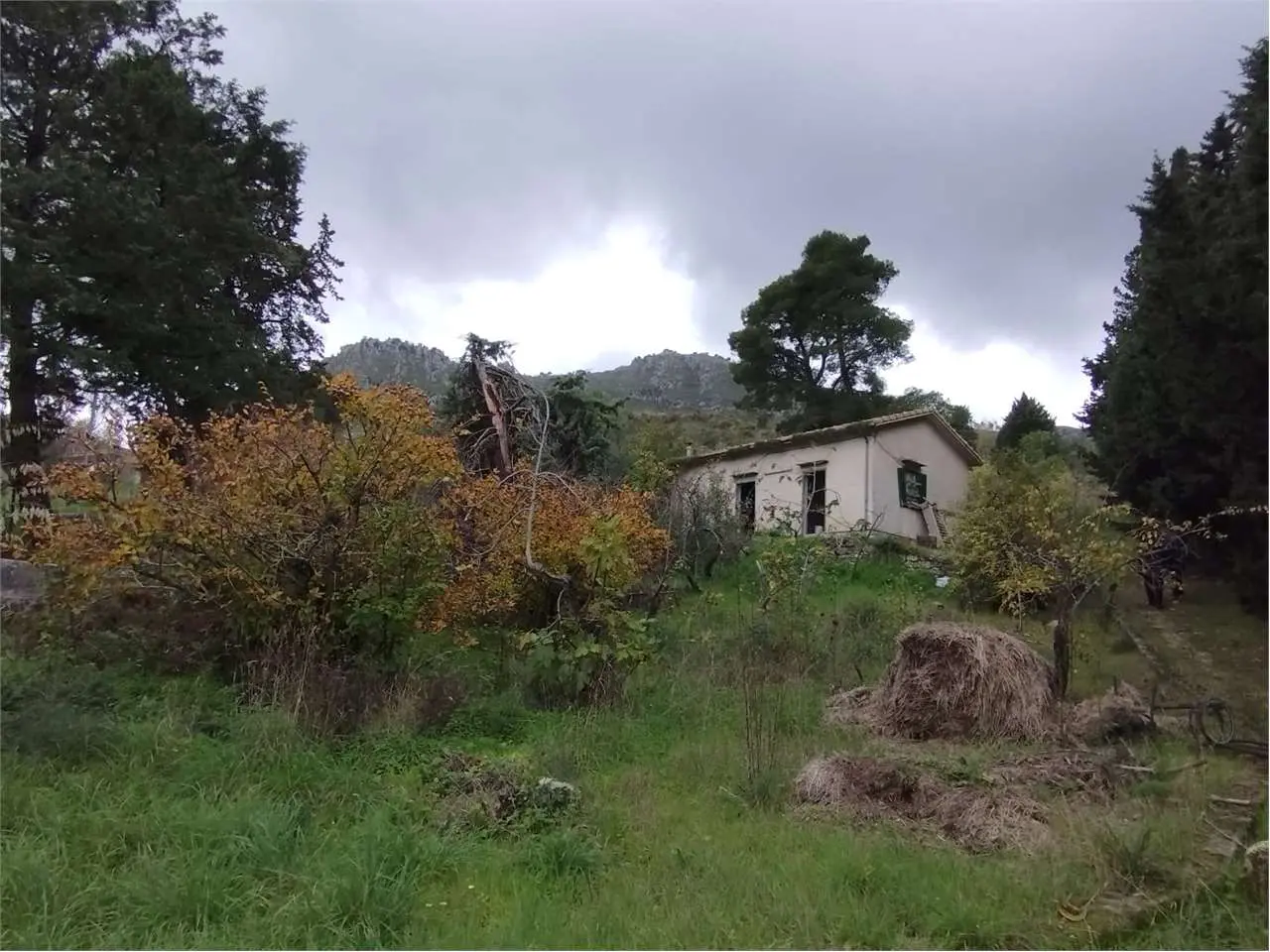 Immagine per Villa in vendita a Palermo