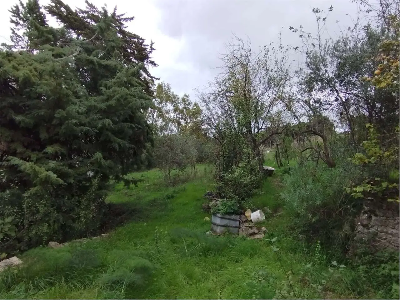 Immagine per Villa in vendita a Palermo