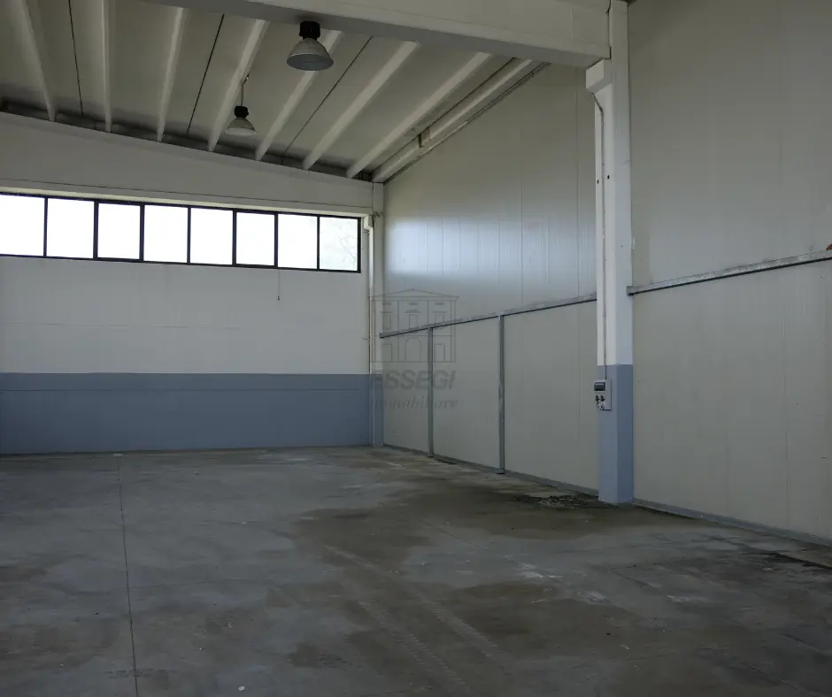 Immagine per Industriale in vendita a Lucca via Sarzanese 703