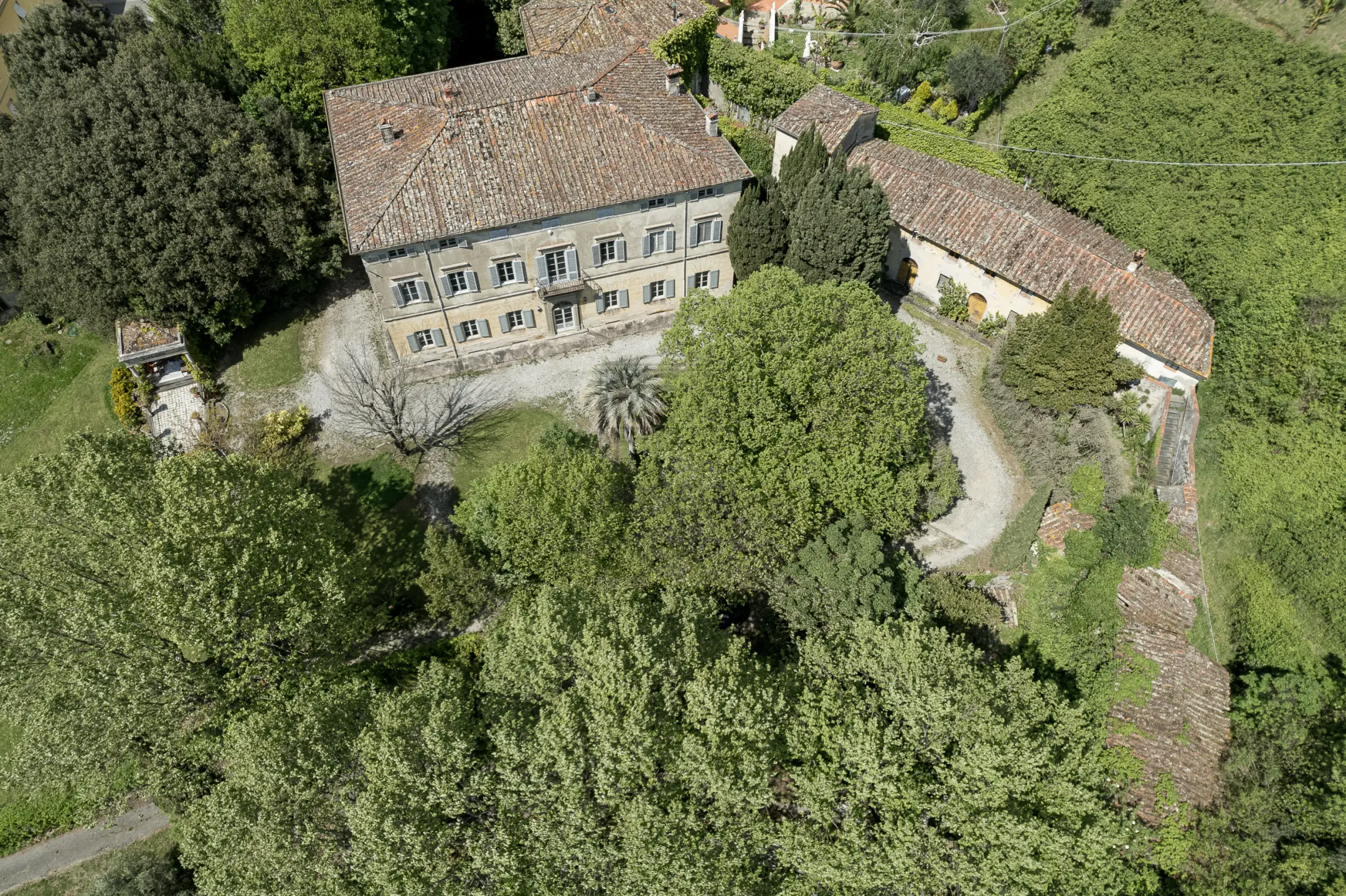 Immagine per Villa in vendita a Lucca via Ludovica 6927