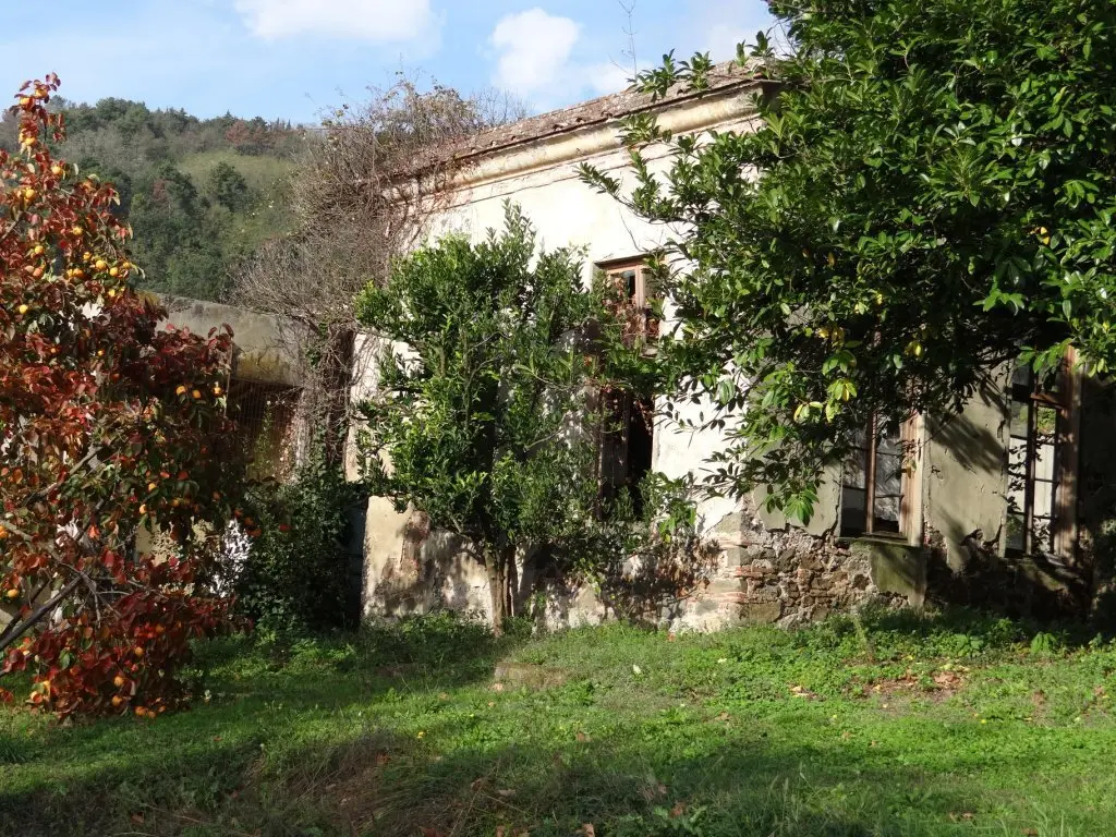Immagine per Villa in vendita a Lucca via Ludovica 6927