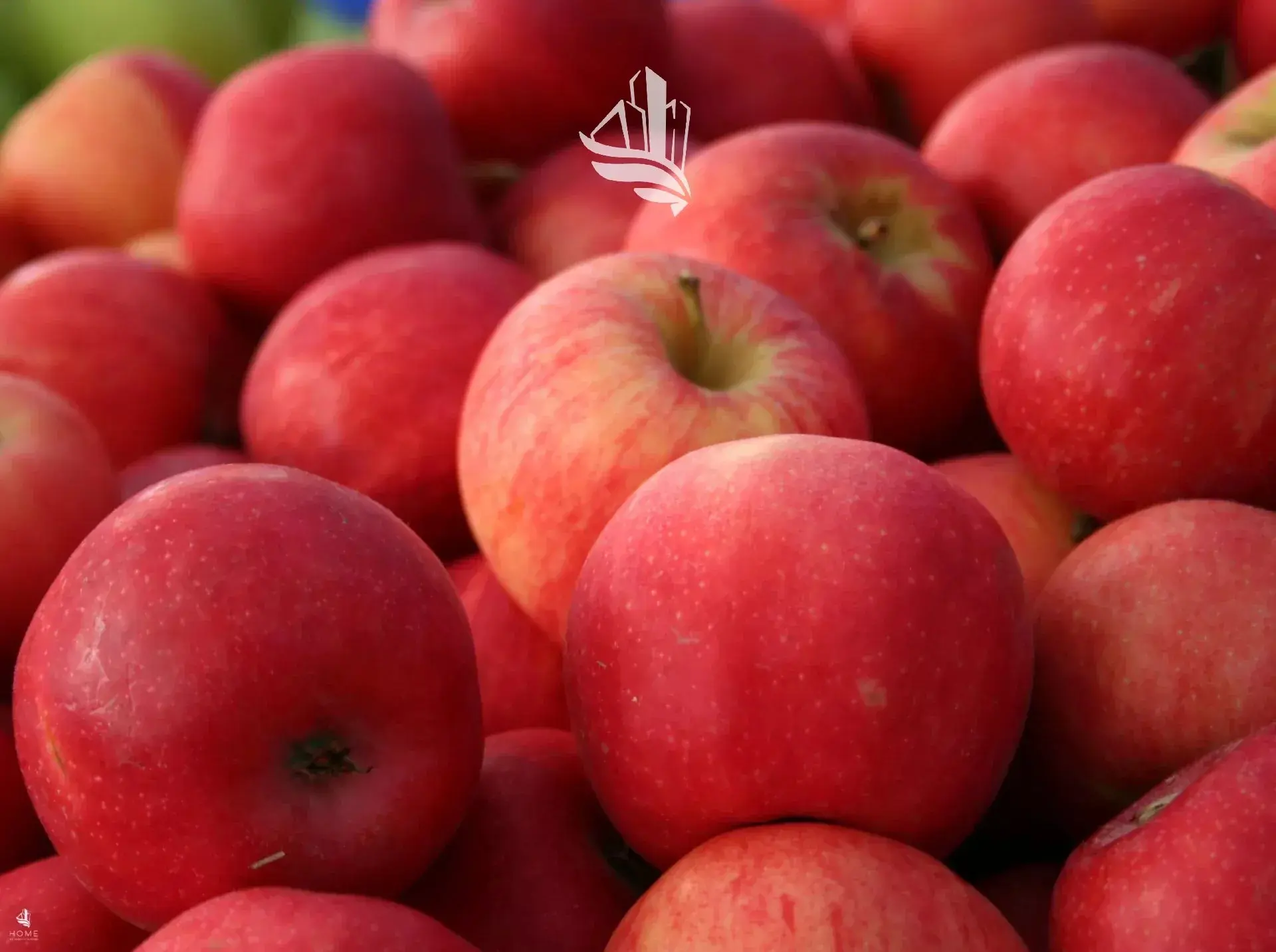 Immagine per Terreno agricolo in vendita a Naturno