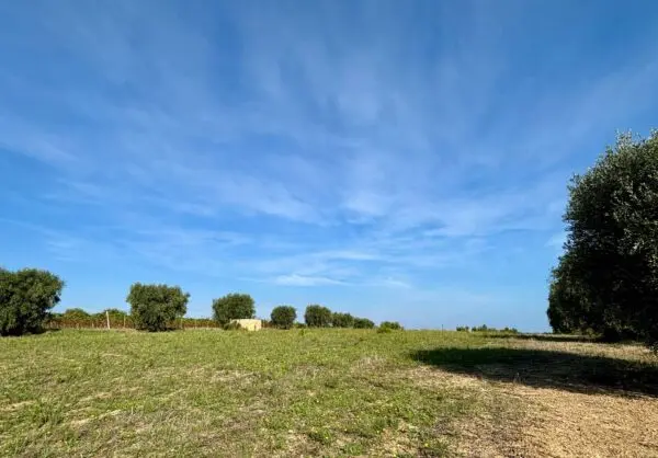 Terreno Agricolo Grottammare