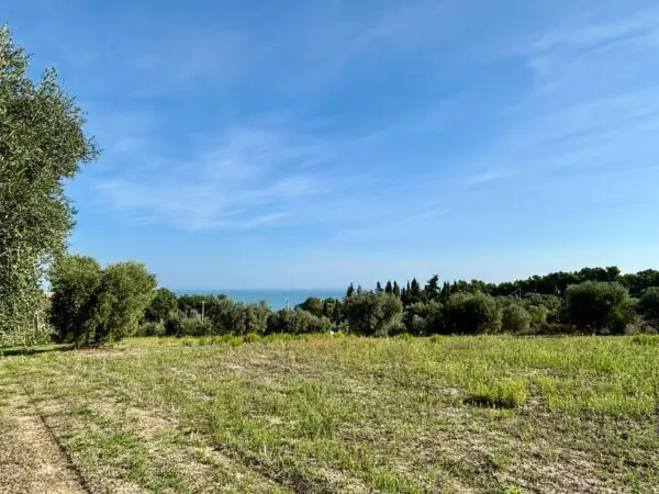 Terreno Agricolo Grottammare