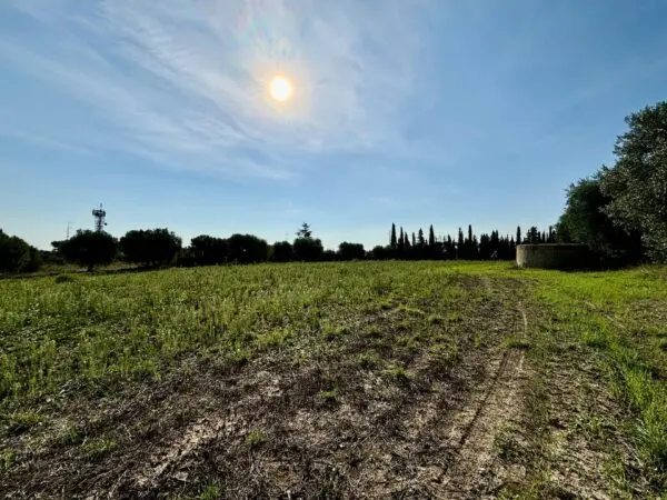 Terreno Agricolo Grottammare