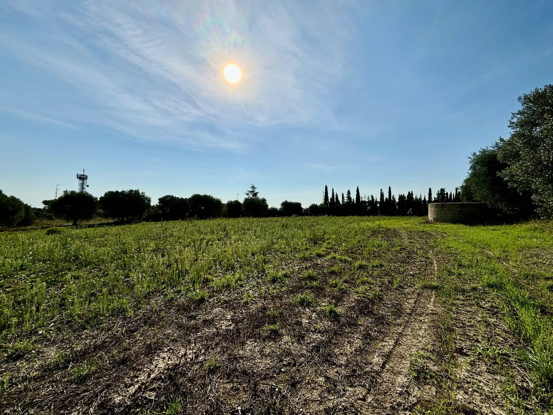 Immagine per Terreno Agricolo in vendita a Grottammare