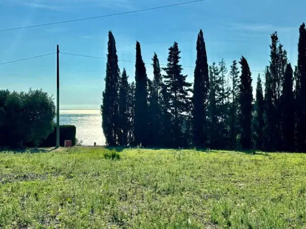 Terreno Agricolo Grottammare