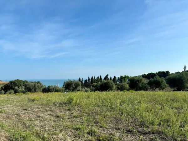 Terreno Agricolo Grottammare