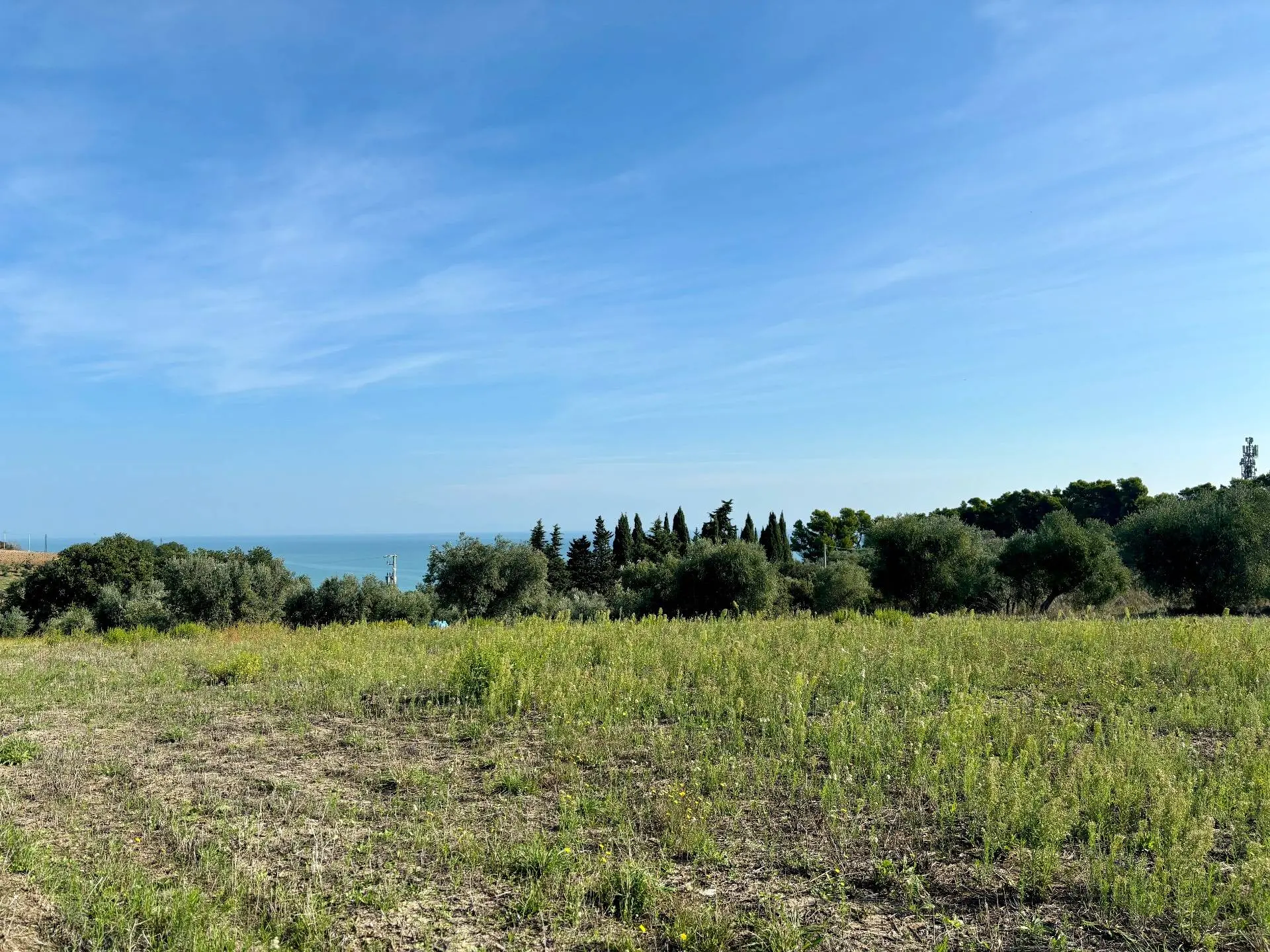 Immagine per Terreno Agricolo in vendita a Grottammare