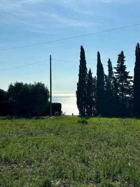 Terreno Agricolo Grottammare
