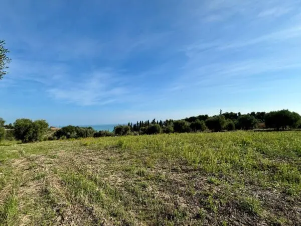 Terreno Agricolo Grottammare