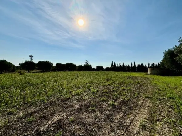 Terreno Agricolo Grottammare
