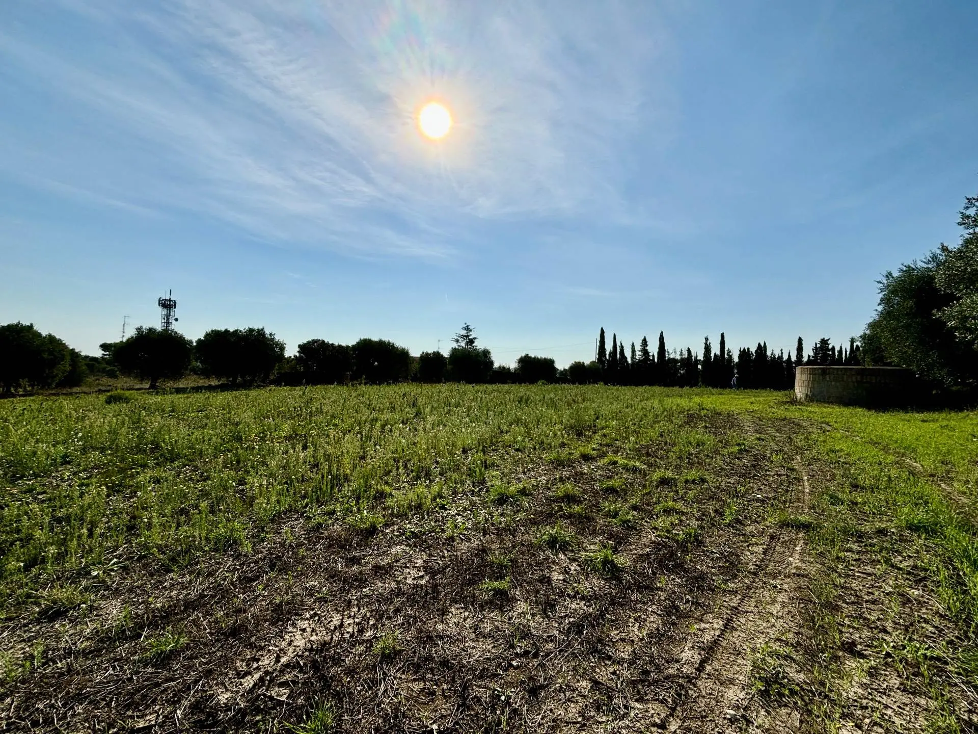 Immagine per Terreno Agricolo in vendita a Grottammare