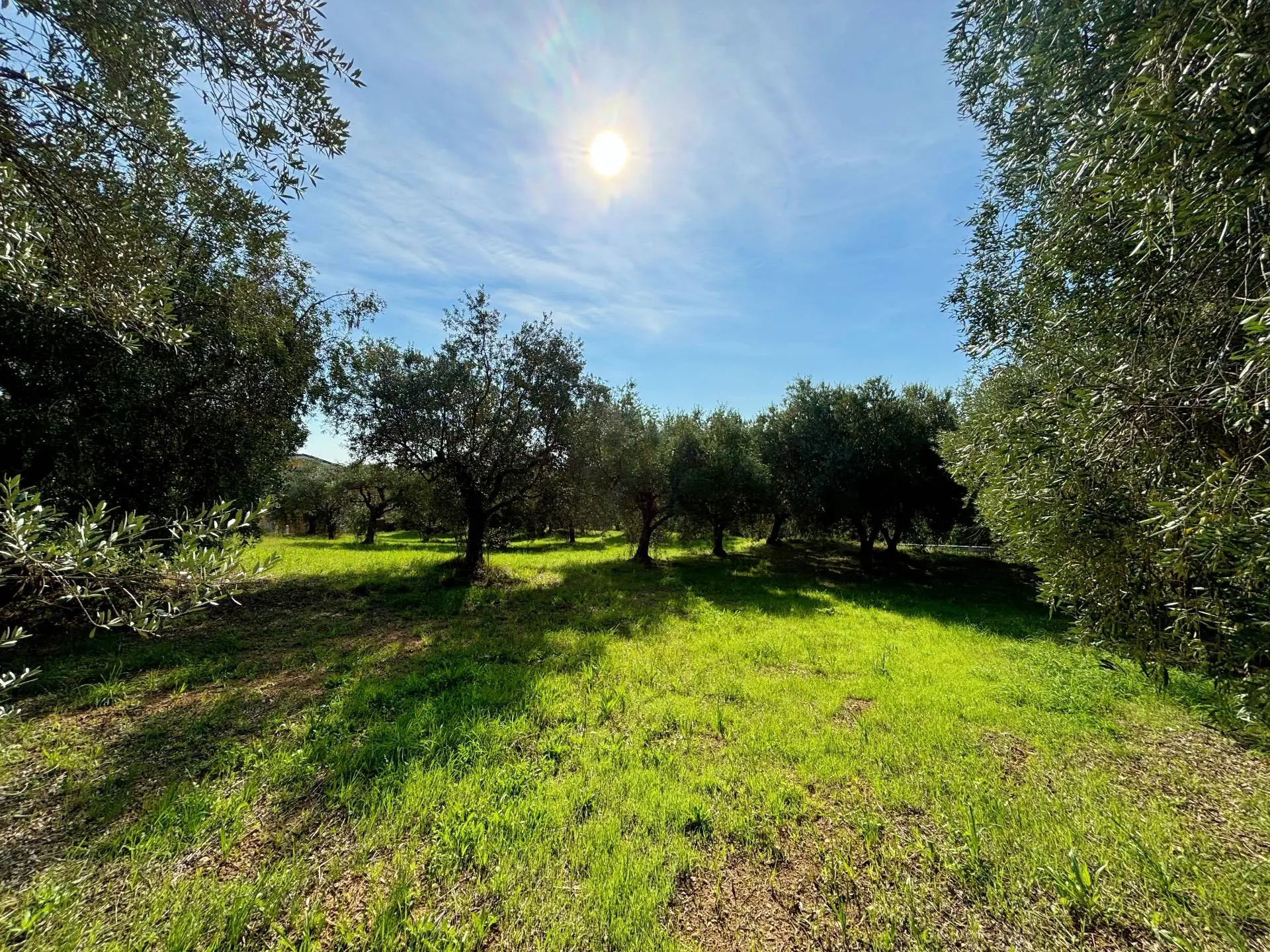 Immagine per Terreno Agricolo in vendita a Grottammare cuprense