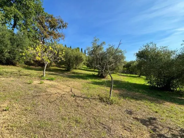 Terreno Agricolo via Cuprense, Grottammare