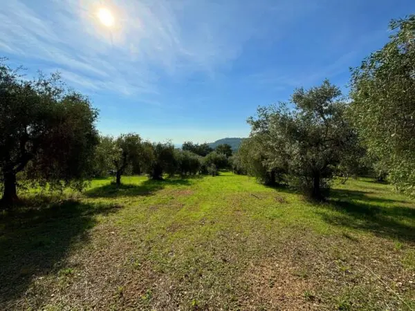 Terreno Agricolo via Cuprense, Grottammare