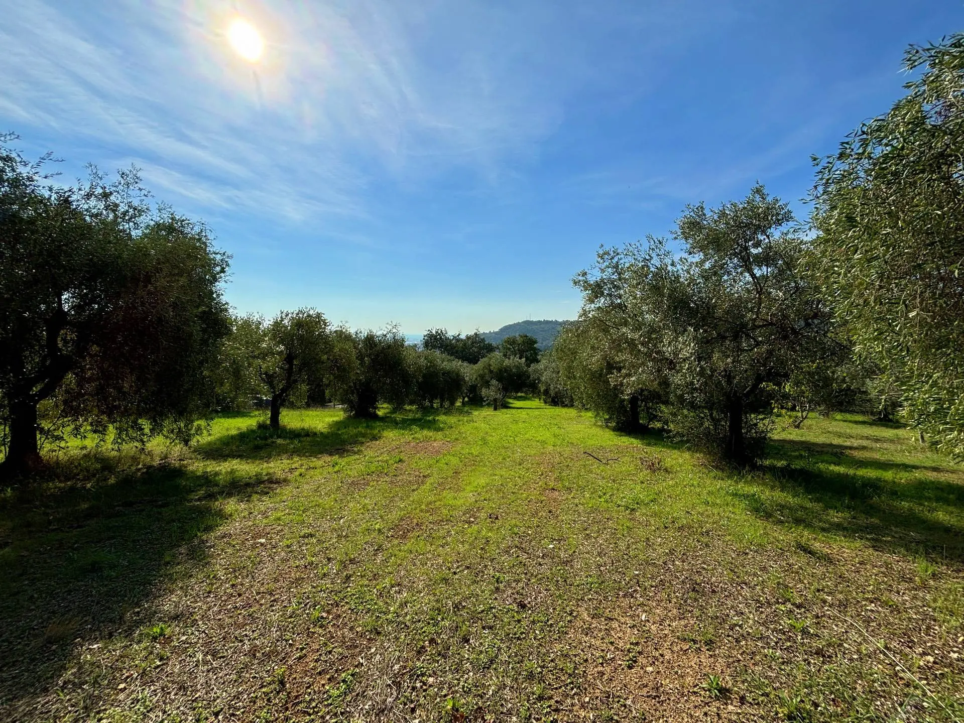 Immagine per Terreno Agricolo in vendita a Grottammare cuprense