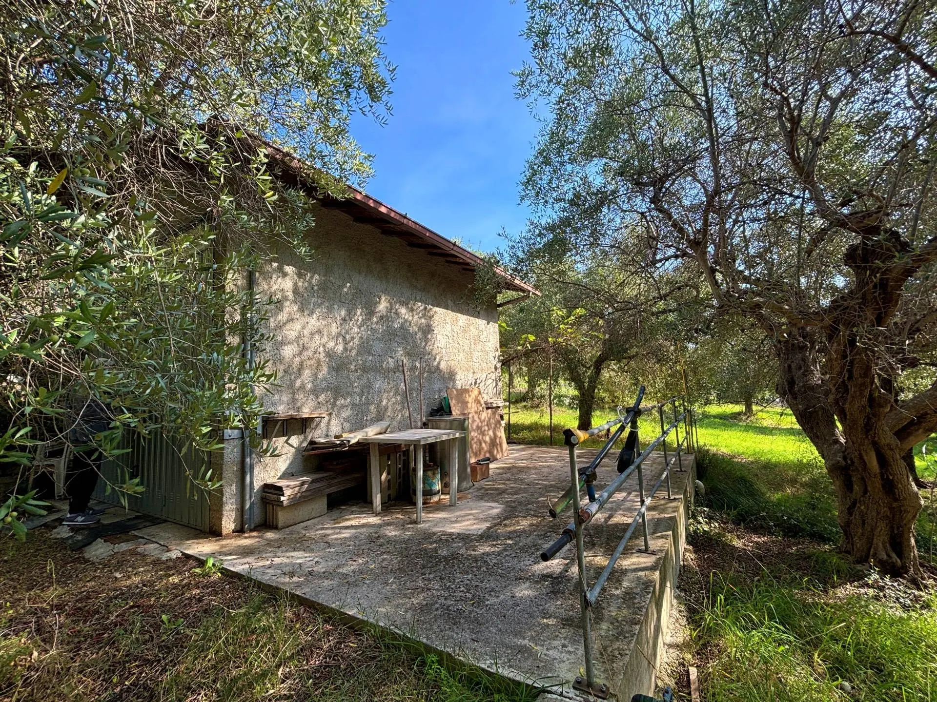 Immagine per Terreno Agricolo in vendita a Grottammare cuprense