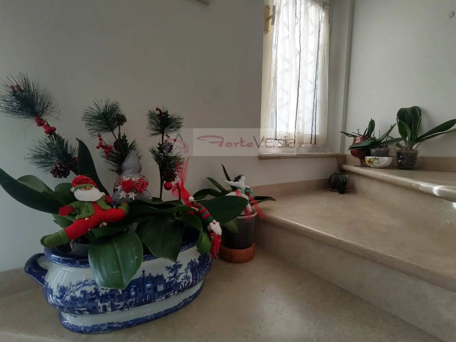 Immagine per Villa in vendita a Pietrasanta  