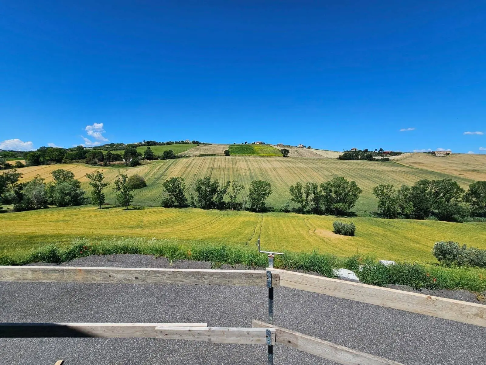 Immagine per Villa in vendita a Fermo contrada salette
