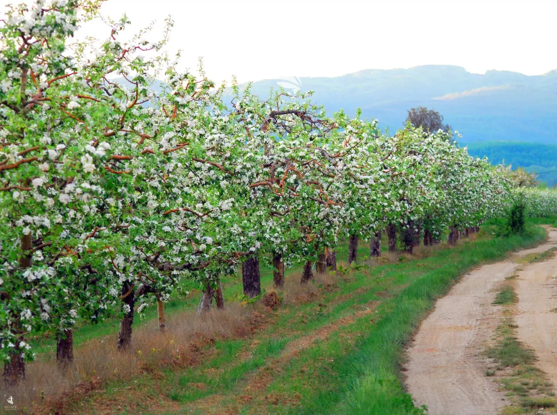 Immagine per Terreno agricolo in vendita a Naturno
