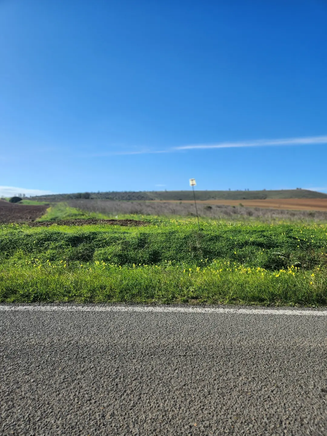 Immagine per Agricolo in vendita a Ussana strada Provinciale 9