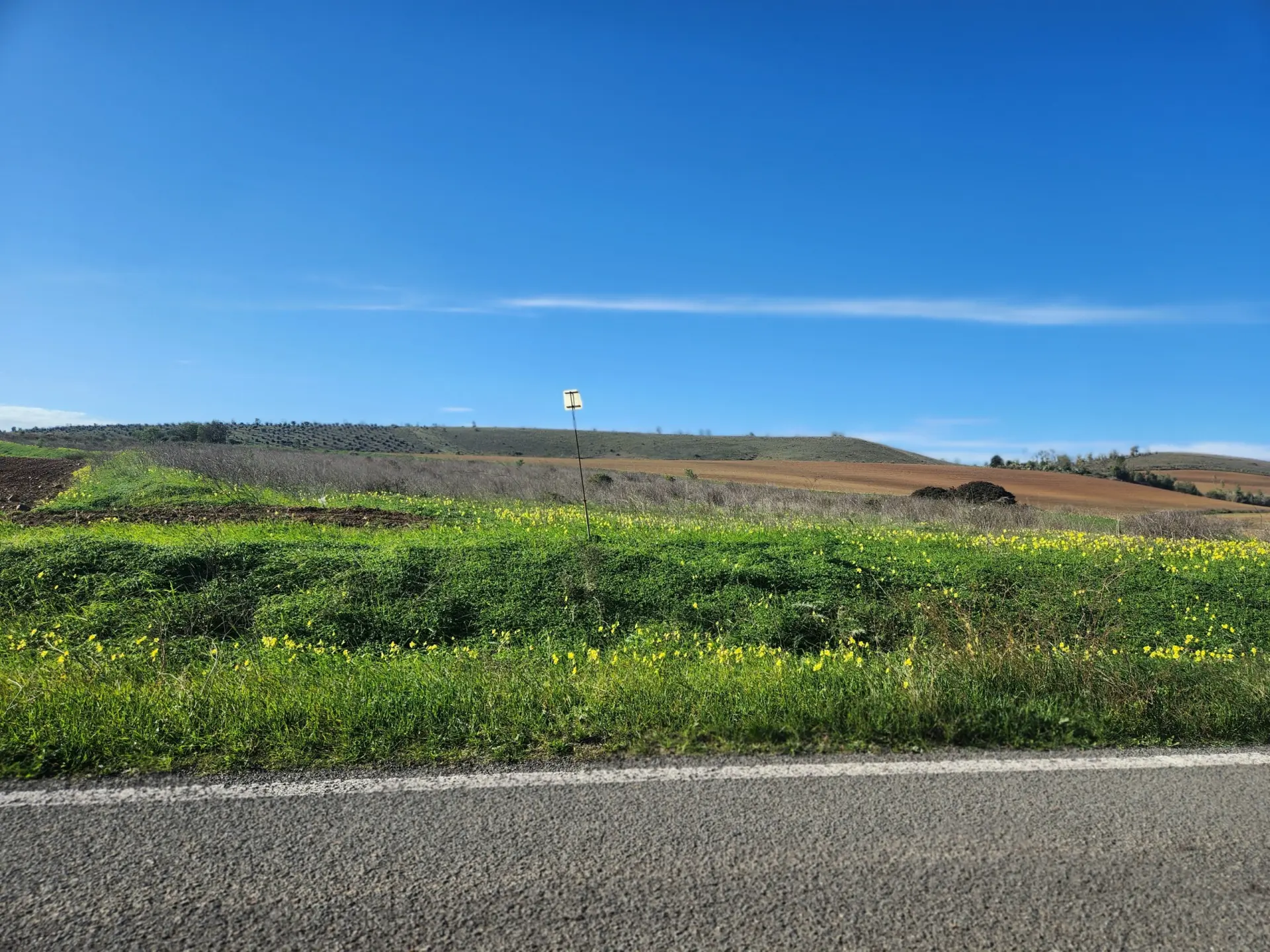 Immagine per Agricolo in vendita a Ussana strada Provinciale 9