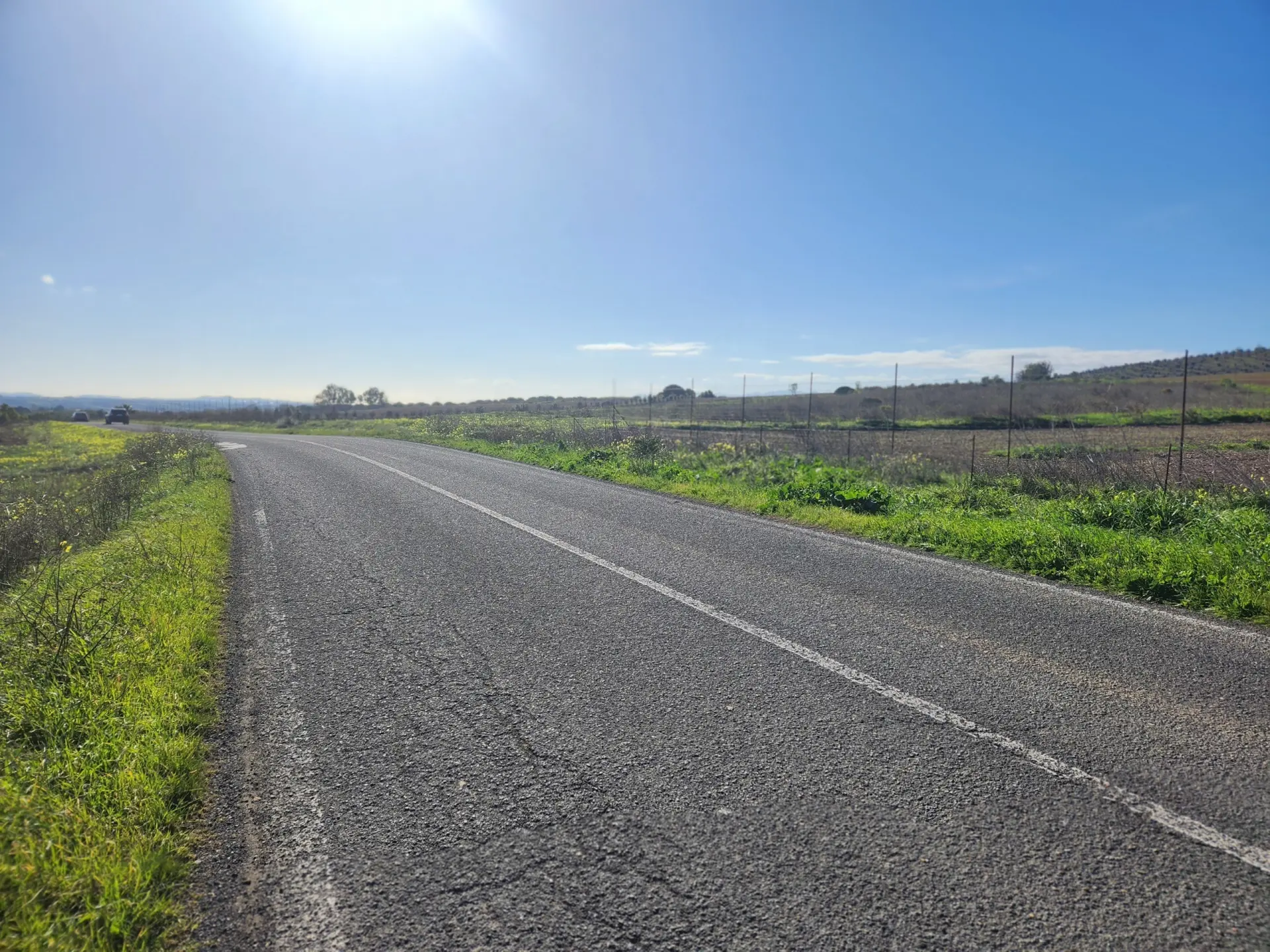 Immagine per Agricolo in vendita a Ussana strada Provinciale 9