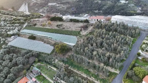 Immagine per Area verde in vendita a Bordighera via Gallina