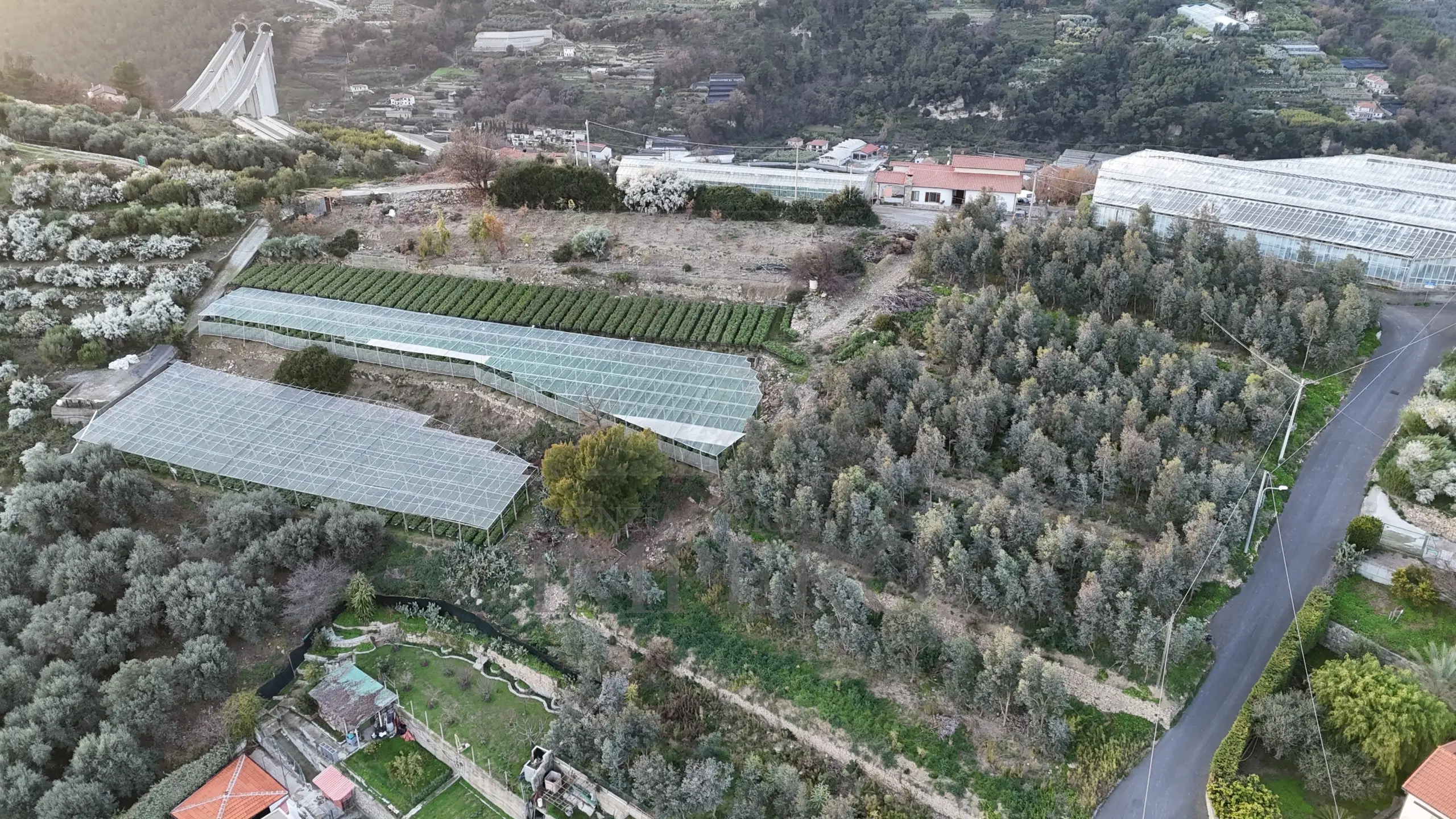 Immagine per Area verde in vendita a Bordighera via Gallina